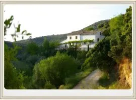 Finca Rústica La Pájara