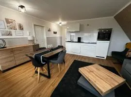 Haus-Fehmarn-am-Dorfteich-|-Wohnung-1-Sued