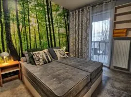Apartament Nr 5