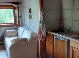 Teola Apartment