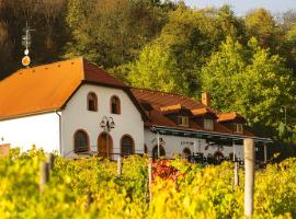 Hotel a vinařství Sádek, hotel v destinaci Kojetice