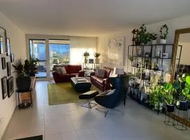 Modern and stylish Home in Muttenz