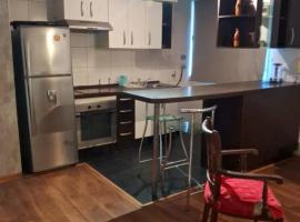 Excelente depto central con piscina Petfriendly Para 3 a 4 personas, Hotel in El Cerrillo