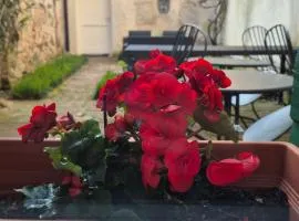 19 Borgo Cavour