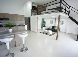 (305) Loft Duplex en Granada