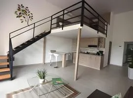 306 Espectacular apartamento en granada