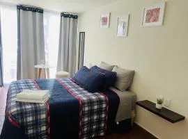 Habitación Ejecutiva en Perinorte