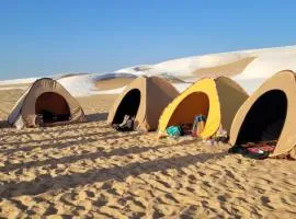 Camp White Desert