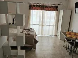 Departamento Pellegrini