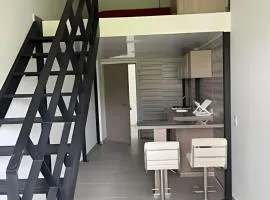 (304A) Apartaestudio Duplex en Granada
