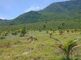 ប៉ូច វណ្ណដា ធានាគារ