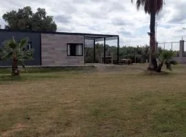Cabañas Las Palmeras RN7
