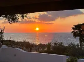Villa Edith