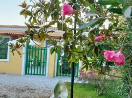 Case Barone di Muro