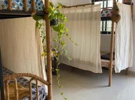 Shiva Retreats Stay with Yoga Retreats & all Foods Included at Yoga Ashram, Arambol Goa