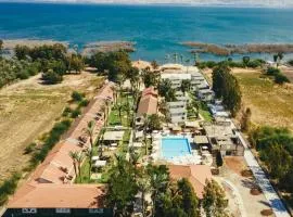 Solaya Kineret
