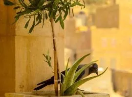 Jimmy Desert guesthouse & Safari