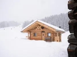 Silvesterhütte Chalet