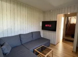 Cozy 1-room apartment