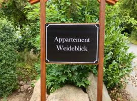 Appartement Weideblick
