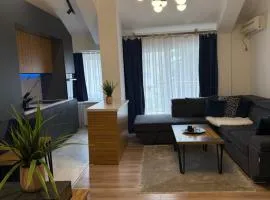 ISM Luxury Apartments