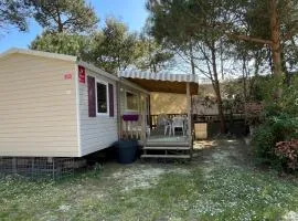 Mobilhome Trigano Samba 3 Bedrooms BA233 - La Palmyre Bonne Anse Plage