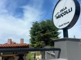 Villa Mucolli