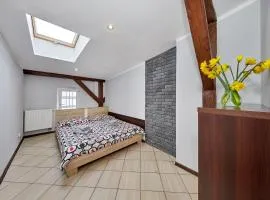 Crystal Apartment Katowice VIII