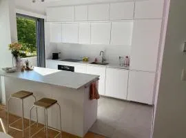 Modern & Cozy Apartment near Tomorrowland- Sleeps 4