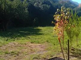 Cabañas Alto los Barros