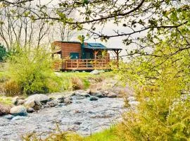 Tiny Home、Dejaniのタイニーハウス