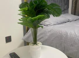 Taurus residences B2-9 near JKIA , SGR and expressway transit stay, hotel con estacionamiento en Syokimau