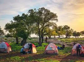 HikeWellness - outdoor camping & activities