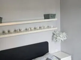 Apartament L D Spa