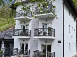 Apartmani Banjski Biser