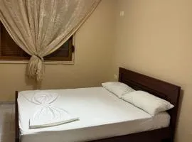 2 bedroom flat in shënvasil