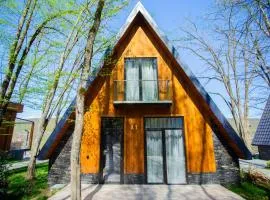 Aynur Forest A-Frame Houses