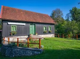 Šajnska Hiža, Authentic House in Brod Moravice
