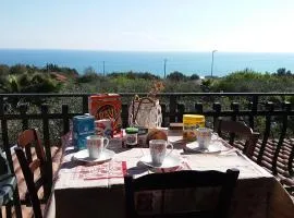 Marina Bellavista