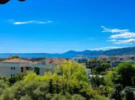 JUAN LES PINS 4 people Pool Garage
