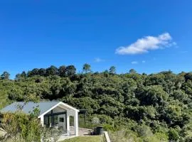 Hillandale Huddle - modern forest cabin near Plett