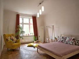 Quiet and spacious flat near city centre