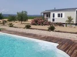 Séjour au cœur du Minervois