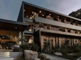 The Funny Lion - El Nido
