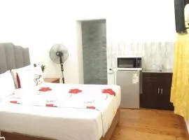 Neo & Ruks Guest Houses Boston Belleville 3