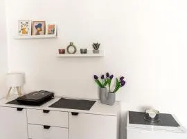 Obilicev venac DM