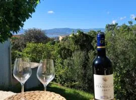 La mini villa Ondella à Porticcio