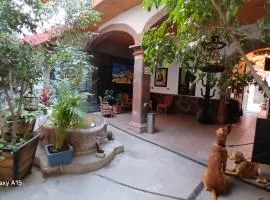 APARTAMENTOS, HOTEL SARITA en el Centro Historico SMA