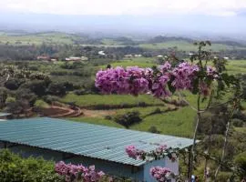 The Toucan - Cozy Mountain Cabin, Stunning Views, Private & Quiet in Costa Rica