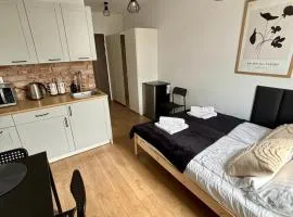 Apartament Kamionka Piast
